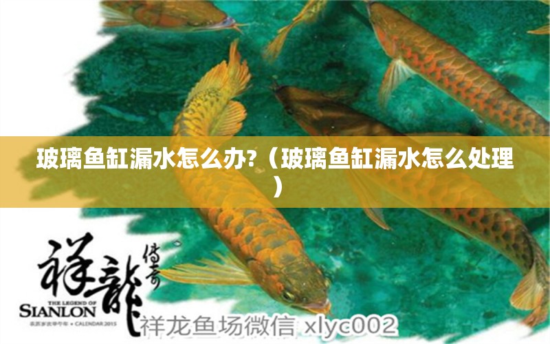 玻璃魚缸漏水怎么辦?（玻璃魚缸漏水怎么處理） 祥龍水族醫(yī)院