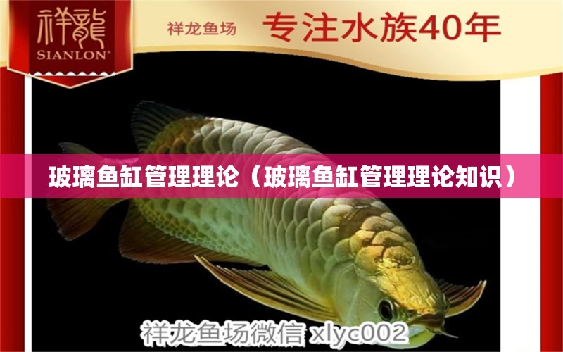 玻璃魚(yú)缸管理理論（玻璃魚(yú)缸管理理論知識(shí)） 其他益生菌