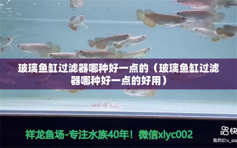 玻璃魚缸過濾器哪種好一點的（玻璃魚缸過濾器哪種好一點的好用）