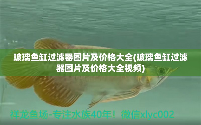 玻璃魚缸過濾器圖片及價格大全(玻璃魚缸過濾器圖片及價格大全視頻) 馬拉莫寶石魚