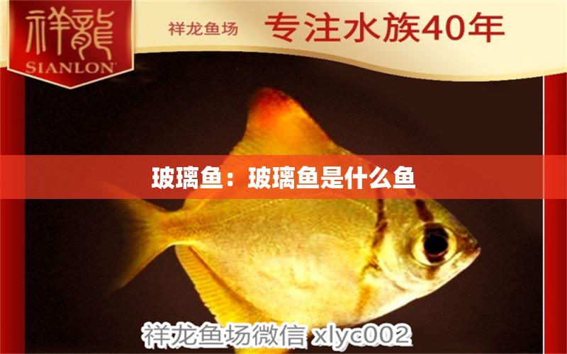 玻璃魚：玻璃魚是什么魚