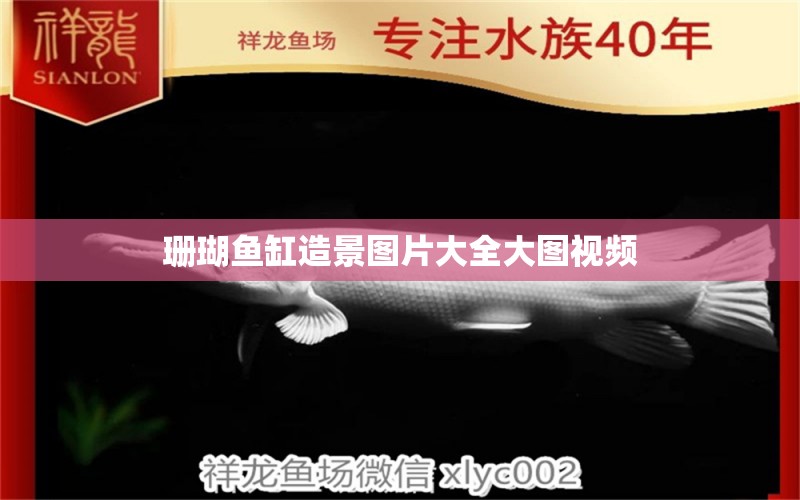 珊瑚魚(yú)缸造景圖片大全大圖視頻