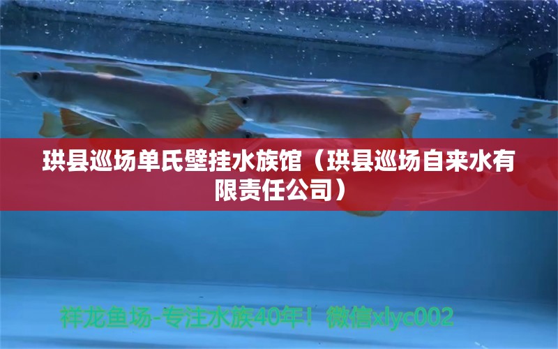 珙縣巡場(chǎng)單氏壁掛水族館（珙縣巡場(chǎng)自來(lái)水有限責(zé)任公司）