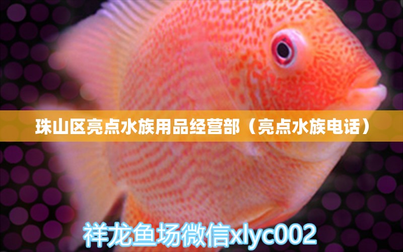 珠山區(qū)亮點(diǎn)水族用品經(jīng)營(yíng)部（亮點(diǎn)水族電話）