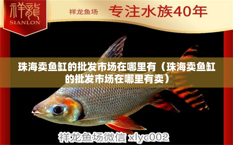 珠海賣魚缸的批發(fā)市場(chǎng)在哪里有（珠海賣魚缸的批發(fā)市場(chǎng)在哪里有賣） 其他品牌魚缸