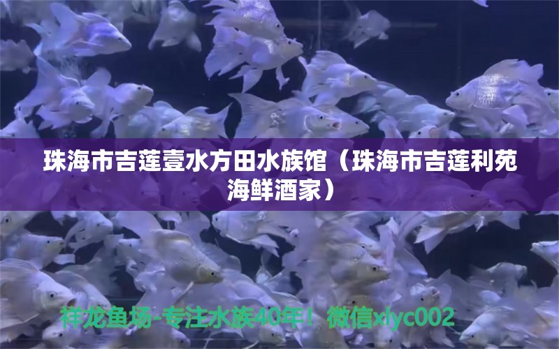 珠海市吉蓮壹水方田水族館（珠海市吉蓮利苑海鮮酒家） 全國(guó)水族館企業(yè)名錄