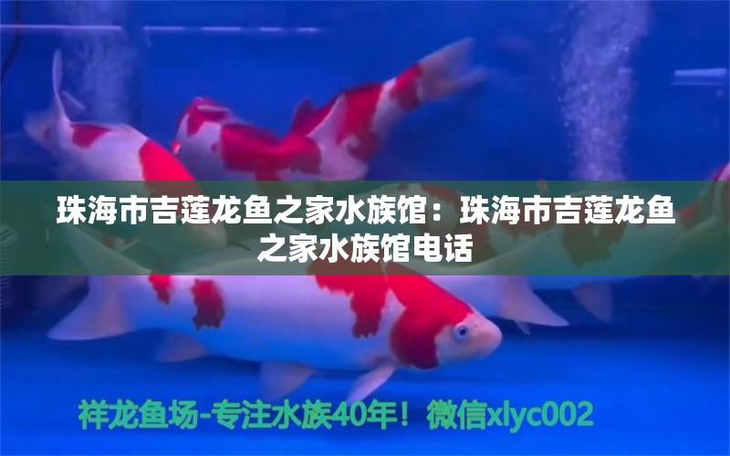 珠海市吉蓮龍魚之家水族館：珠海市吉蓮龍魚之家水族館電話 龍魚之家