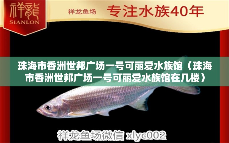 珠海市香洲世邦廣場(chǎng)一號(hào)可麗愛(ài)水族館（珠海市香洲世邦廣場(chǎng)一號(hào)可麗愛(ài)水族館在幾樓）