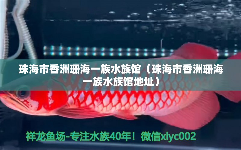 珠海市香洲珊海一族水族館（珠海市香洲珊海一族水族館地址）