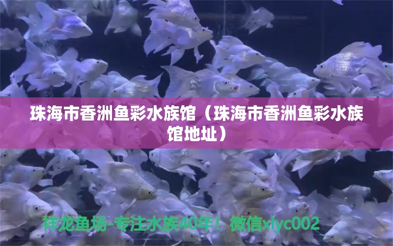 珠海市香洲魚彩水族館（珠海市香洲魚彩水族館地址） 全國水族館企業(yè)名錄 第2張