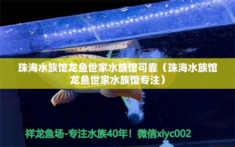 珠海水族館龍魚世家水族館可靠（珠海水族館龍魚世家水族館專注）