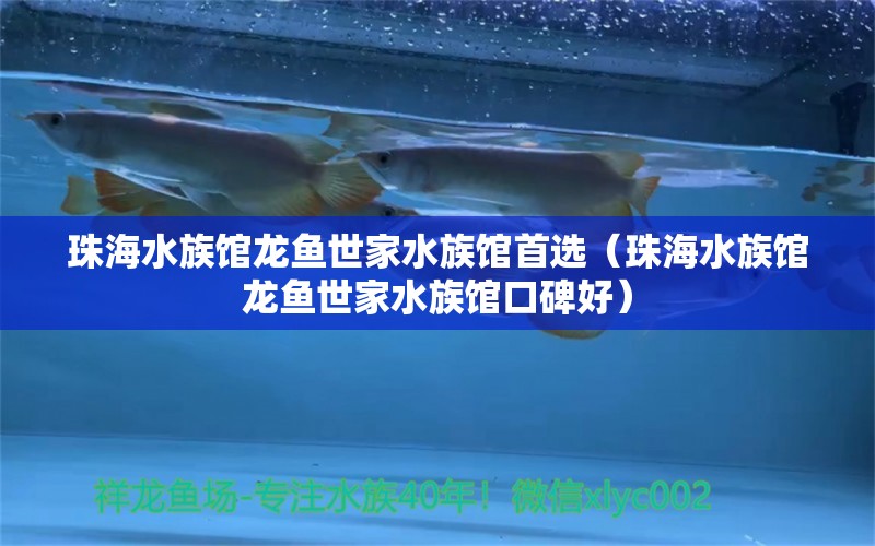 珠海水族館龍魚世家水族館首選（珠海水族館龍魚世家水族館口碑好）