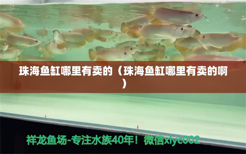 珠海魚(yú)缸哪里有賣(mài)的（珠海魚(yú)缸哪里有賣(mài)的?。?其他品牌魚(yú)缸