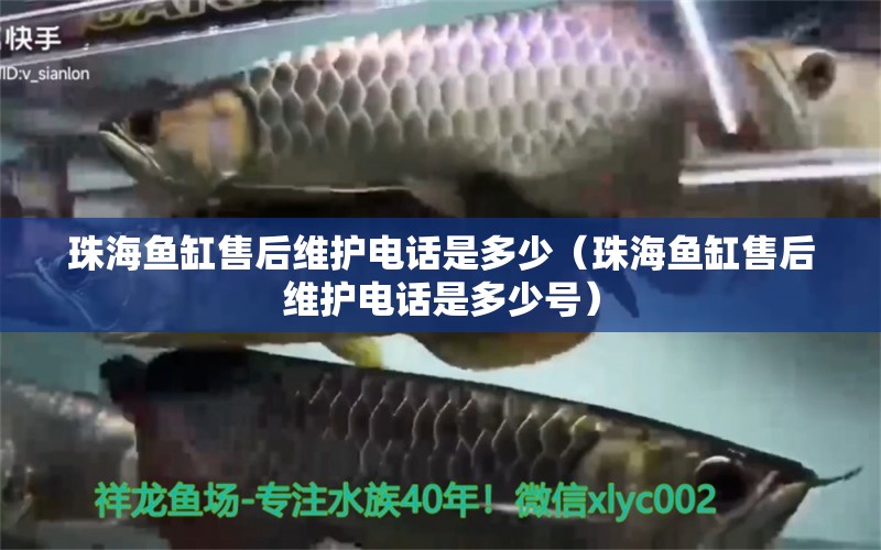 珠海魚缸售后維護電話是多少（珠海魚缸售后維護電話是多少號） 其他品牌魚缸