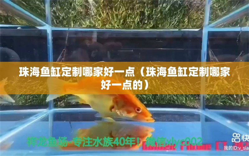 珠海魚缸定制哪家好一點（珠海魚缸定制哪家好一點的）