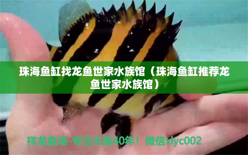 珠海魚缸找龍魚世家水族館（珠海魚缸推薦龍魚世家水族館） 觀賞魚市場（混養(yǎng)魚）