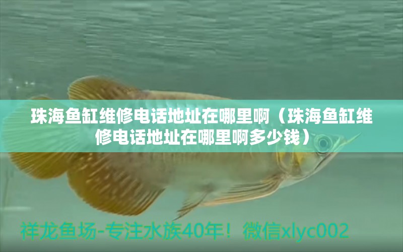 珠海魚缸維修電話地址在哪里?。ㄖ楹ｔ~缸維修電話地址在哪里啊多少錢） 魚缸/水族箱