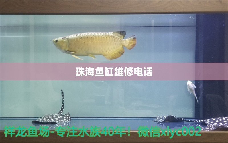 珠海魚(yú)缸維修電話