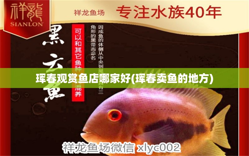 琿春觀賞魚店哪家好(琿春賣魚的地方) 元寶鳳凰魚專用魚糧