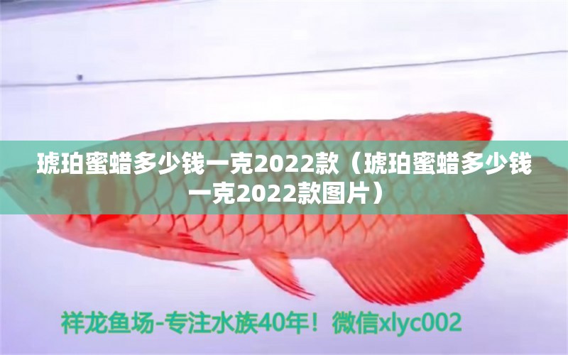 琥珀蜜蠟多少錢一克2022款（琥珀蜜蠟多少錢一克2022款圖片）