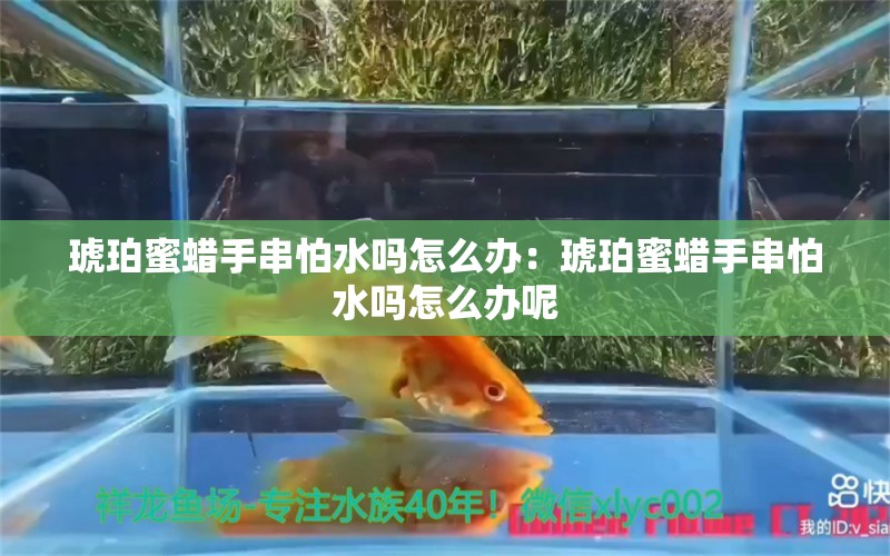 琥珀蜜蠟手串怕水嗎怎么辦：琥珀蜜蠟手串怕水嗎怎么辦呢 文玩