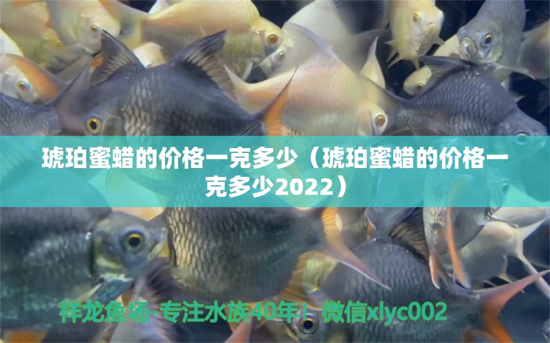 琥珀蜜蠟的價格一克多少（琥珀蜜蠟的價格一克多少2022） 文玩