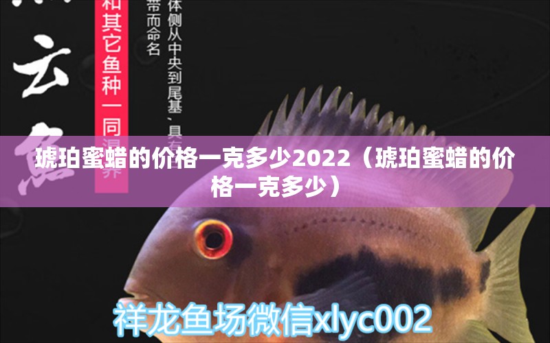 琥珀蜜蠟的價(jià)格一克多少2022（琥珀蜜蠟的價(jià)格一克多少） 文玩