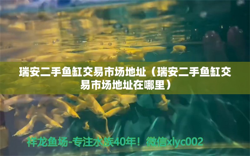 瑞安二手魚缸交易市場地址（瑞安二手魚缸交易市場地址在哪里）