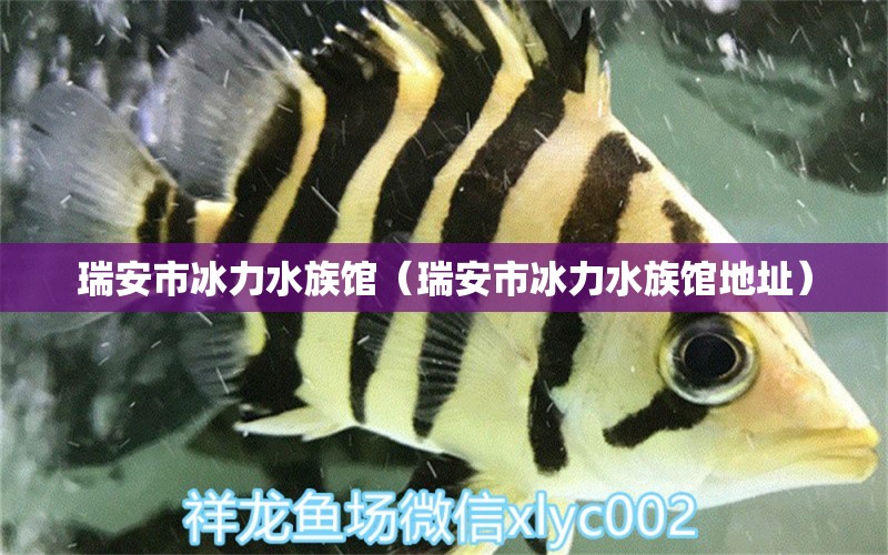 瑞安市冰力水族館（瑞安市冰力水族館地址） 全國水族館企業(yè)名錄