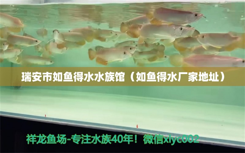 瑞安市如魚得水水族館（如魚得水廠家地址）