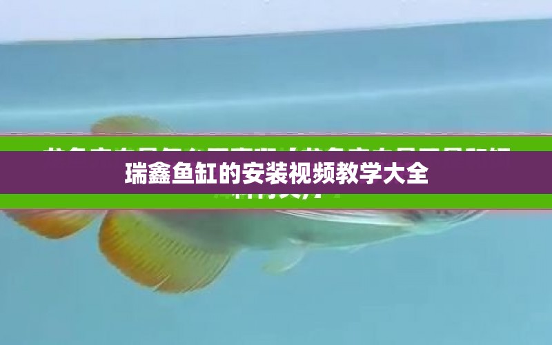 瑞鑫魚(yú)缸的安裝視頻教學(xué)大全 水族問(wèn)答 第1張