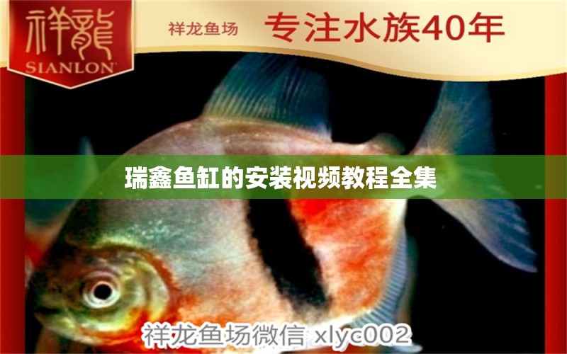 瑞鑫魚缸的安裝視頻教程全集 