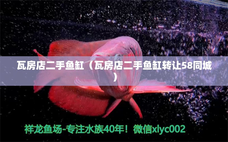 瓦房店二手魚缸（瓦房店二手魚缸轉(zhuǎn)讓58同城）