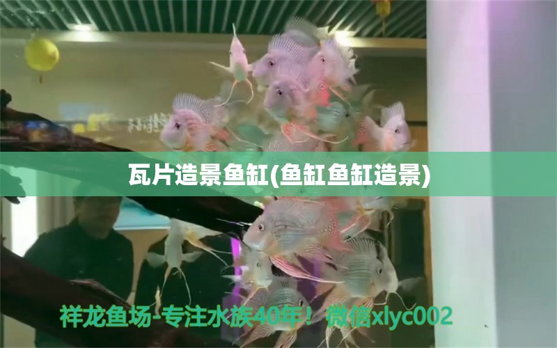 瓦片造景魚缸(魚缸魚缸造景)