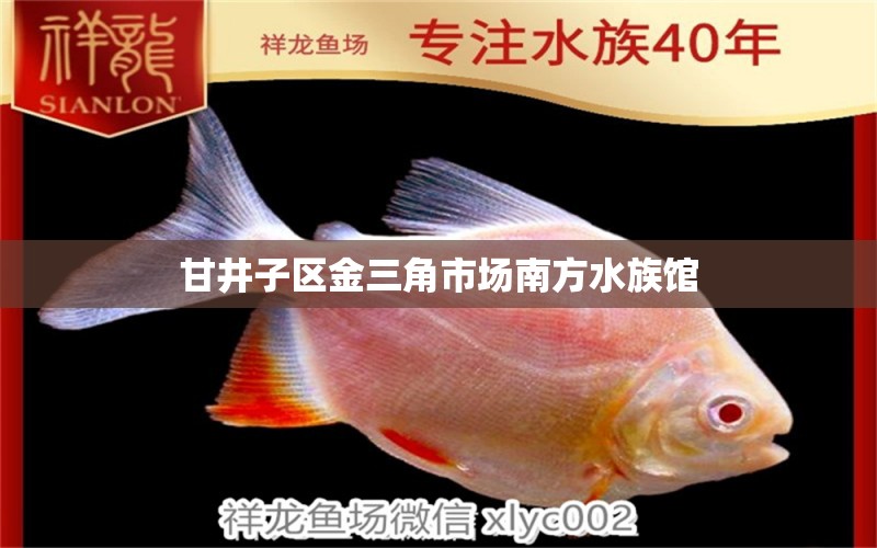 甘井子區(qū)金三角市場(chǎng)南方水族館