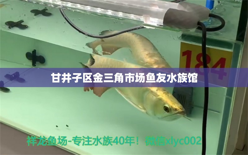 甘井子區(qū)金三角市場(chǎng)魚友水族館