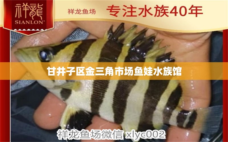 甘井子區(qū)金三角市場(chǎng)魚娃水族館