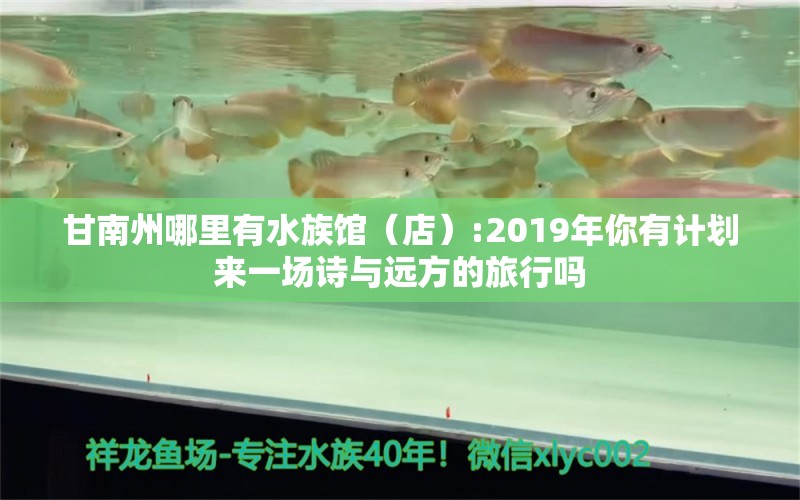 甘南州哪里有水族館（店）:2019年你有計劃來一場詩與遠方的旅行嗎