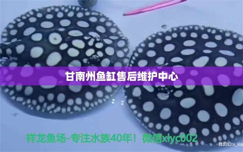 甘南州魚缸售后維護(hù)中心 其他品牌魚缸