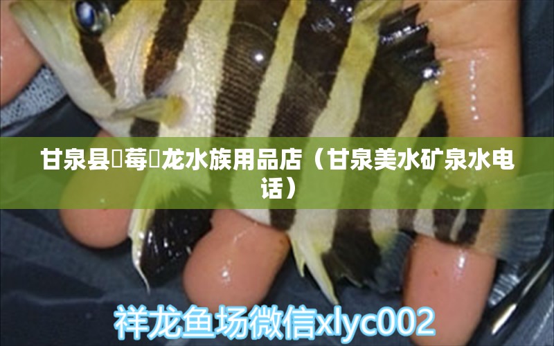 甘泉縣愺莓魟龍水族用品店（甘泉美水礦泉水電話） 水族用品