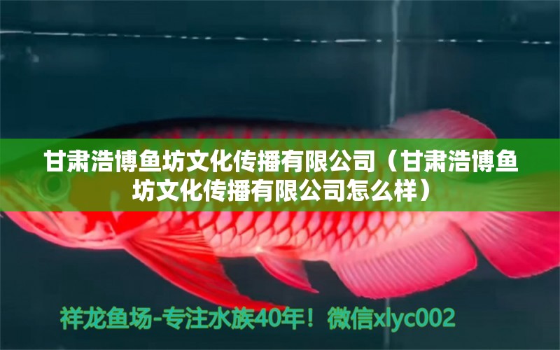 甘肅浩博魚坊文化傳播有限公司（甘肅浩博魚坊文化傳播有限公司怎么樣） 全國水族館企業(yè)名錄