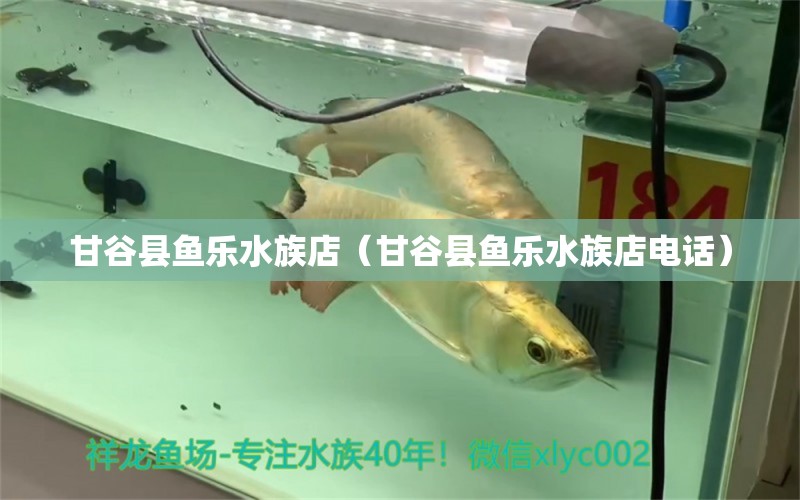 甘谷縣魚樂水族店（甘谷縣魚樂水族店電話）