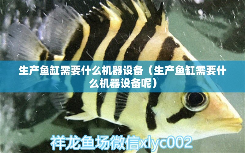 生產(chǎn)魚缸需要什么機器設(shè)備（生產(chǎn)魚缸需要什么機器設(shè)備呢） 白子金龍魚