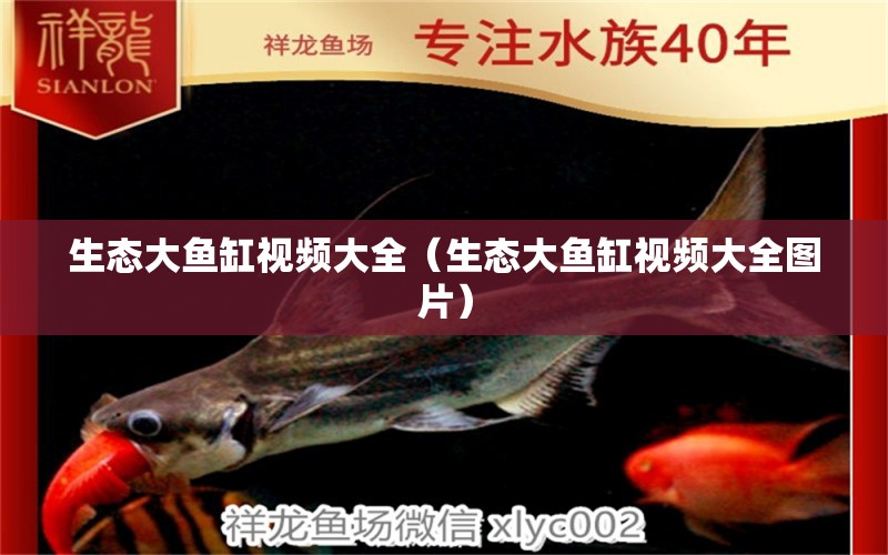 生態(tài)大魚缸視頻大全（生態(tài)大魚缸視頻大全圖片） 祥龍水族醫(yī)院