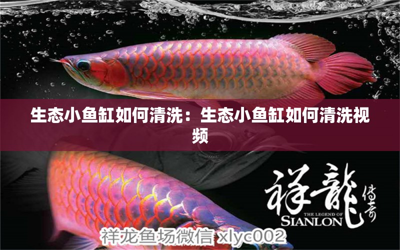 生態(tài)小魚缸如何清洗：生態(tài)小魚缸如何清洗視頻