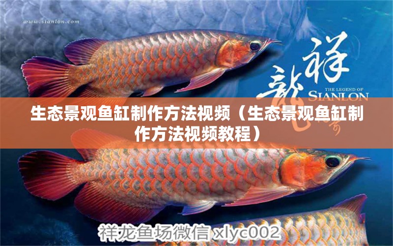 生態(tài)景觀魚(yú)缸制作方法視頻（生態(tài)景觀魚(yú)缸制作方法視頻教程） 祥龍水族醫(yī)院