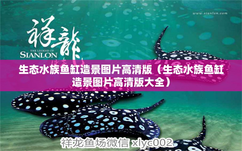 生態(tài)水族魚缸造景圖片高清版（生態(tài)水族魚缸造景圖片高清版大全）