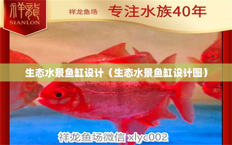 生態(tài)水景魚缸設計（生態(tài)水景魚缸設計圖）