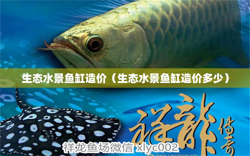 生態(tài)水景魚缸造價(jià)（生態(tài)水景魚缸造價(jià)多少）