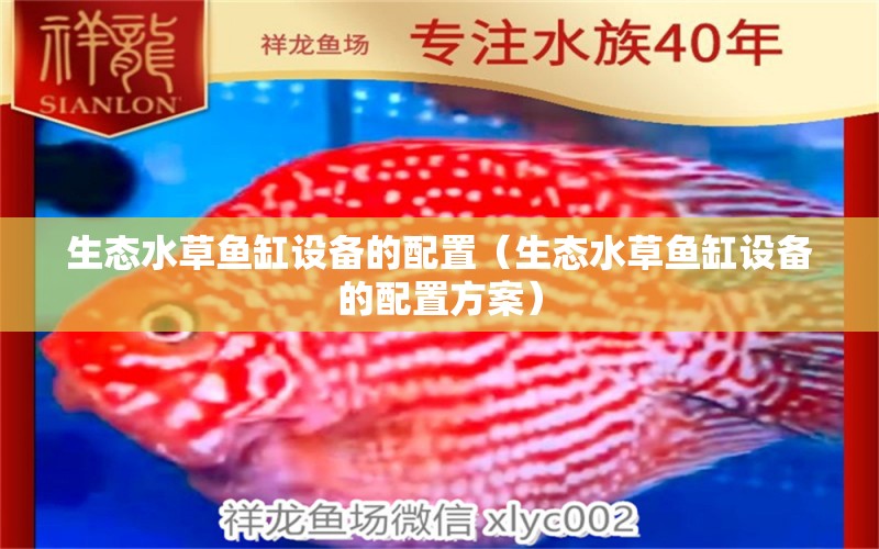 生態(tài)水草魚缸設(shè)備的配置（生態(tài)水草魚缸設(shè)備的配置方案）